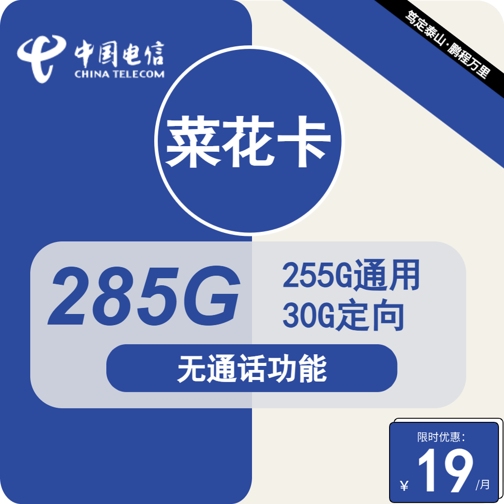 天津电信菜花卡19元包255G通用+30G定向+无语音功能